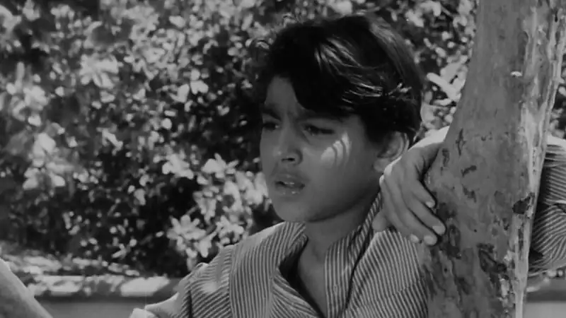 Devdas Screenshot 2 Devdas Screenshot 2