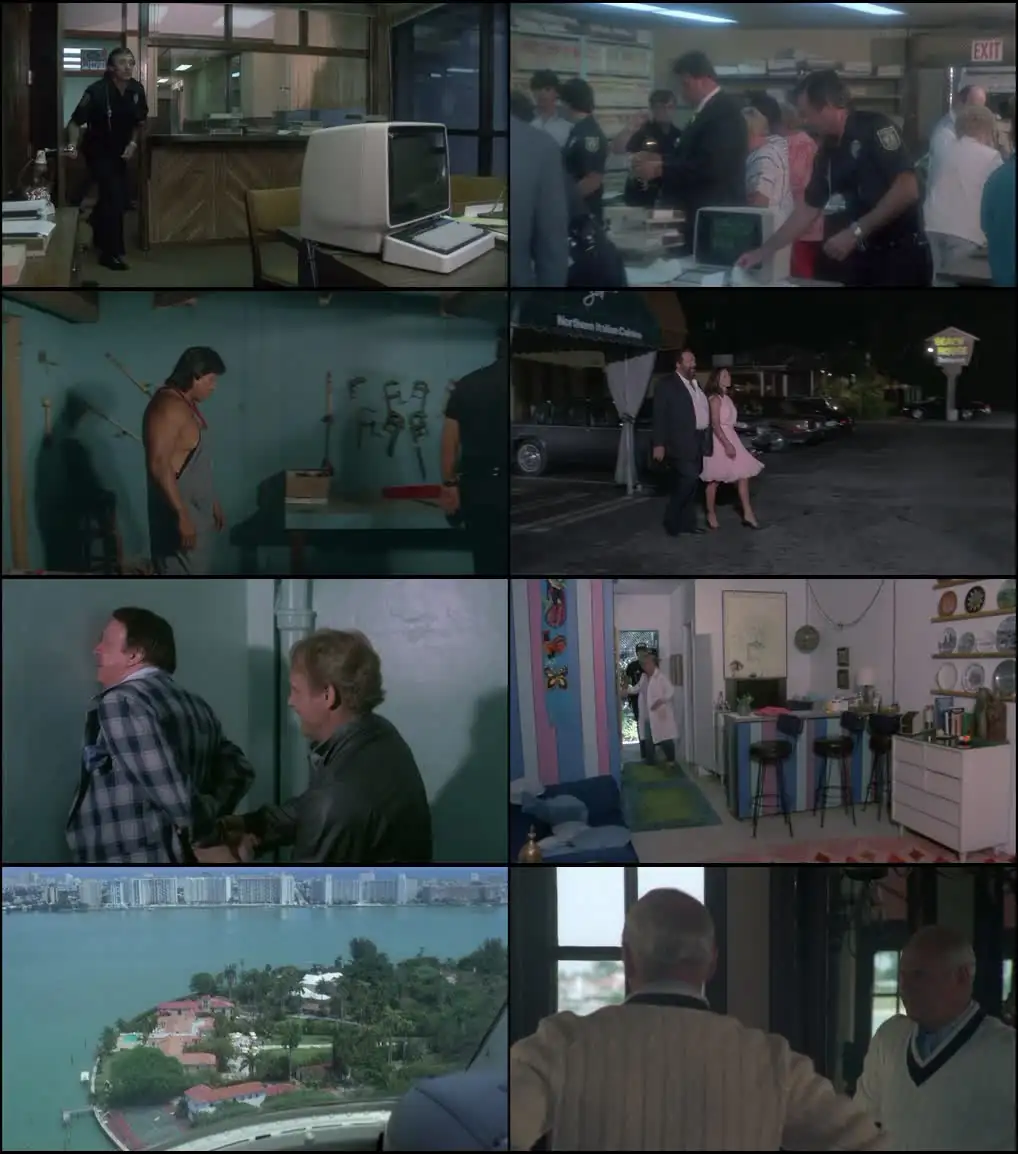 Miami Supercops Screenshot 1