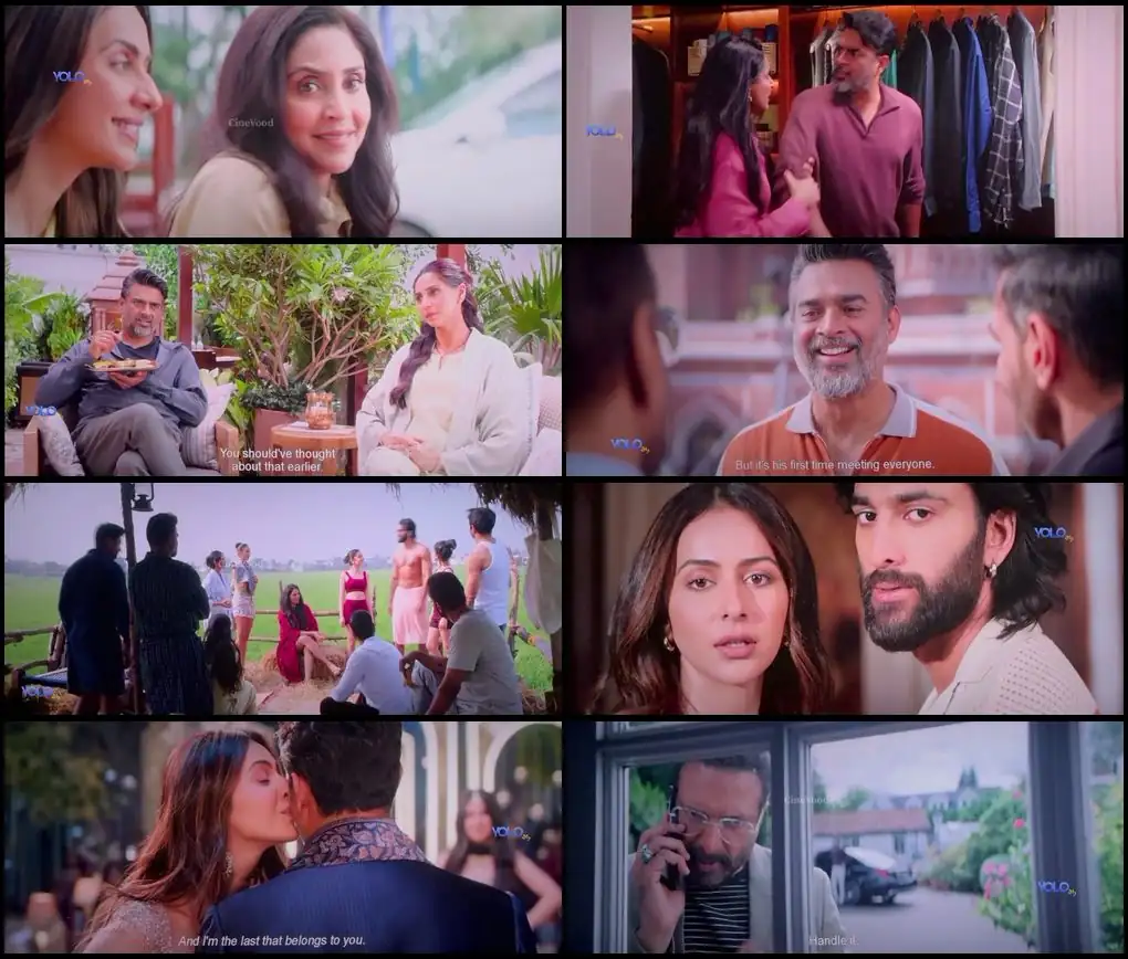 De De Pyaar De 2 Screenshot 1