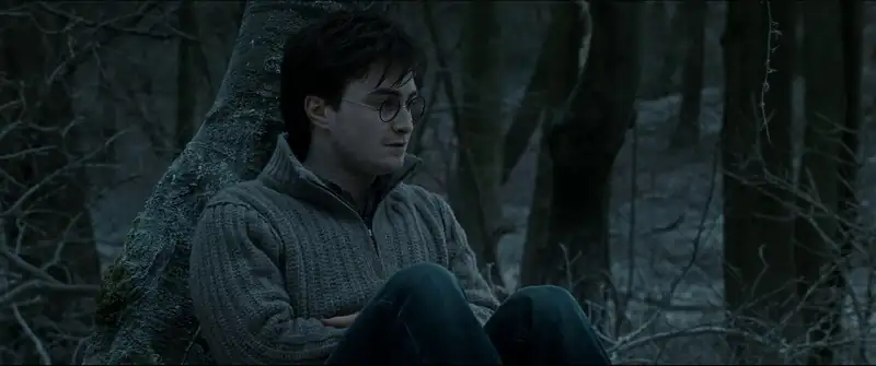 Harry Potter and the Deathly Hallows: Part 1 Screenshot 3