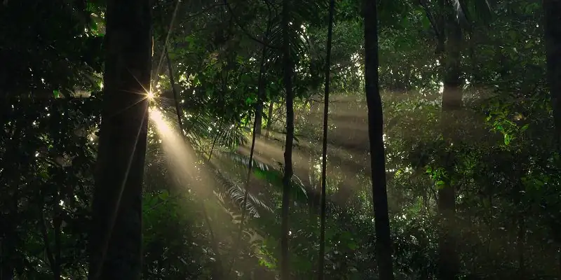 The Lost Children Screenshot 4