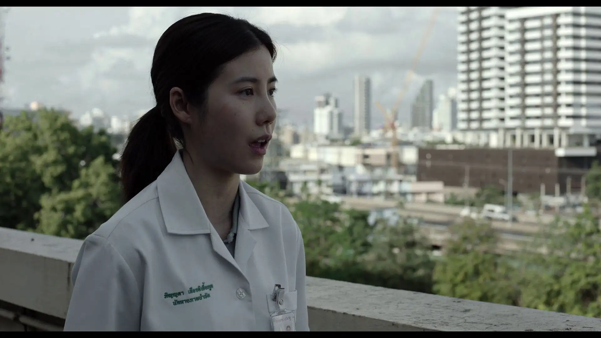 The Red Line Screenshot 1