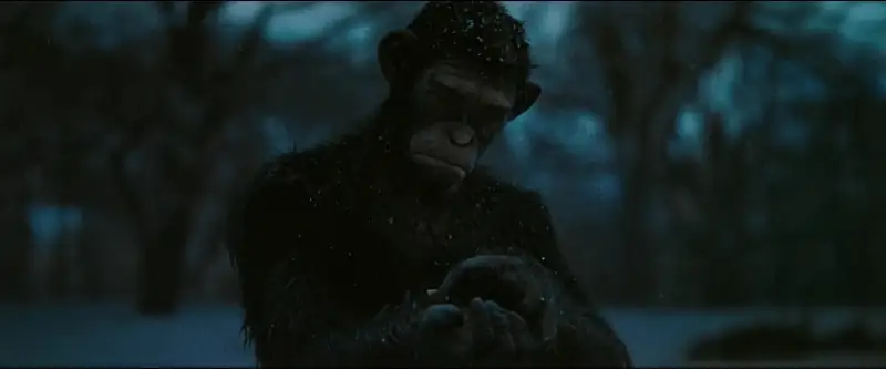 Better Man Screenshot 4 Better Man Screenshot 4
