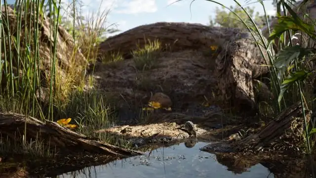 The Lion King Screenshot 3