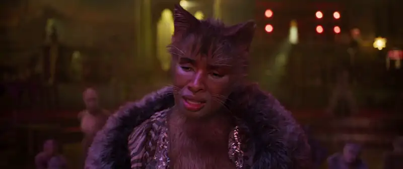 Cats Screenshot 5 Cats Screenshot 5