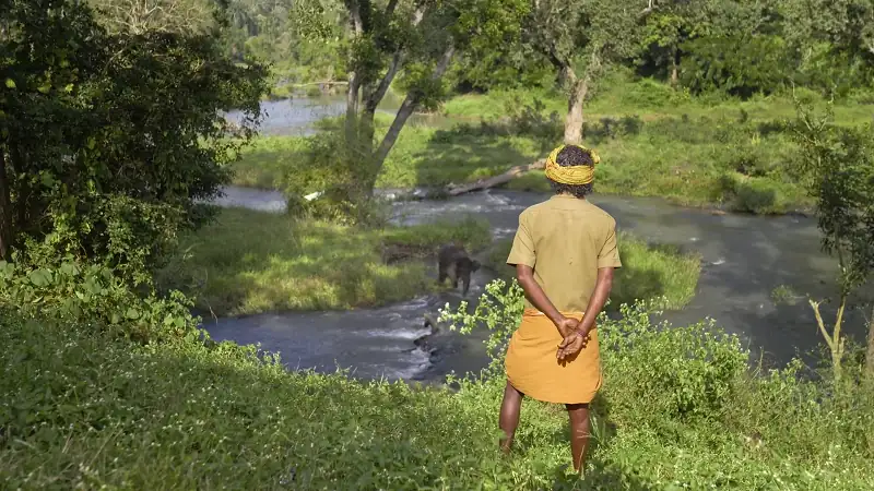 The Elephant Whisperers Screenshot 3