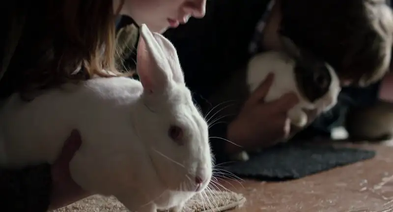Leave No Trace Screenshot 1
