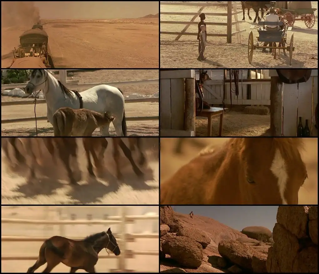 Running Free Screenshot 1